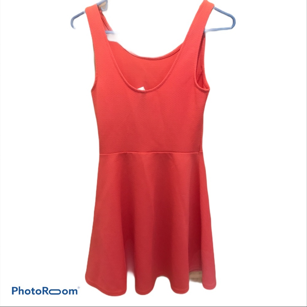 Divided Dress - Picture 3 of 3